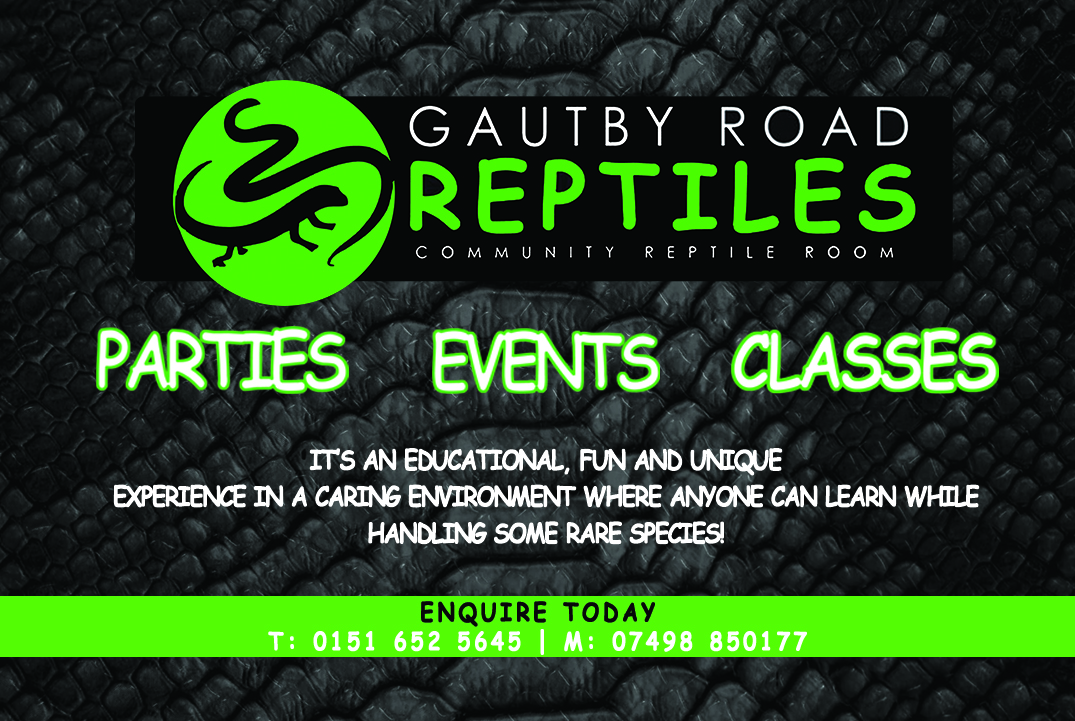 Gautby Road Reptiles - Gautby Road - Play, Youth and Community Centre